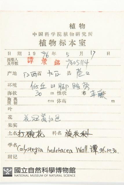 Accession Number:S052622 Collection Image, Figure 2, Total 2 Figures