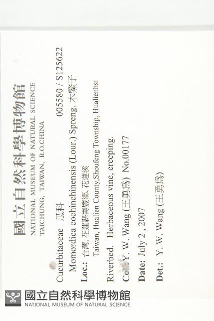 木鱉子藏品圖，第2張