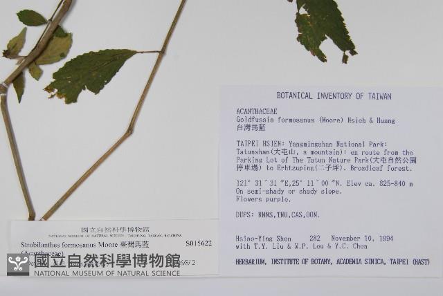 臺灣馬藍藏品圖，第2張