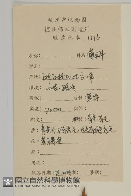 艾蒿藏品圖，第2張