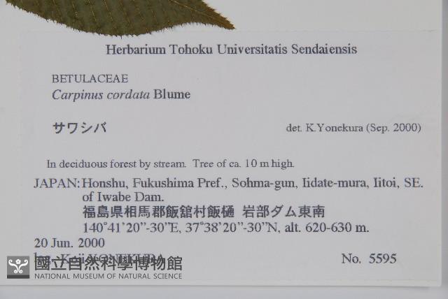 千金榆藏品圖，第2張