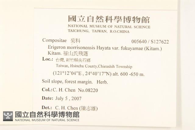 福山氏飛蓬藏品圖，第2張