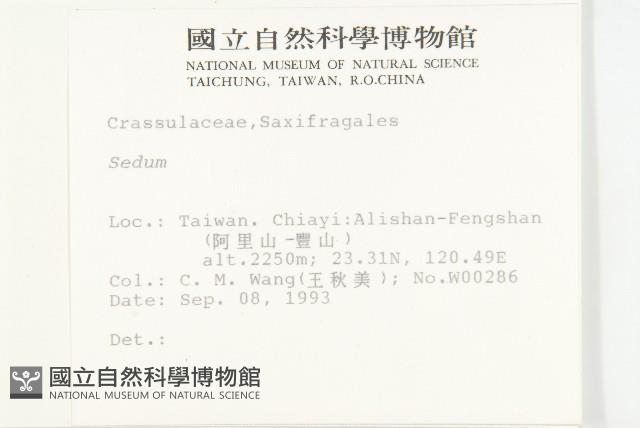 登錄號:S012022藏品圖，第2張