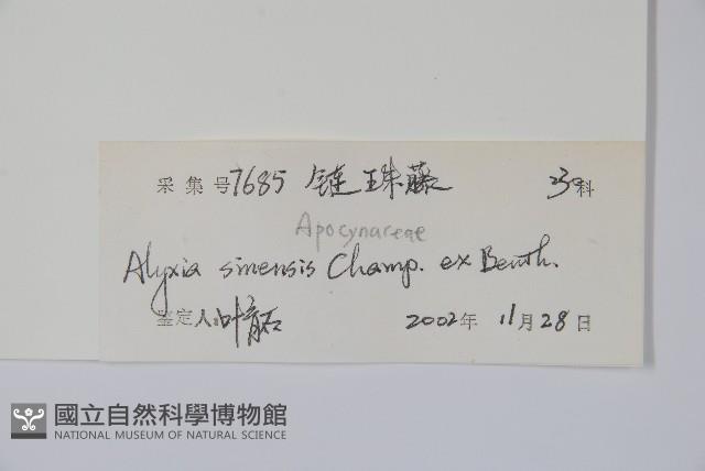 中國念珠藤藏品圖，第2張