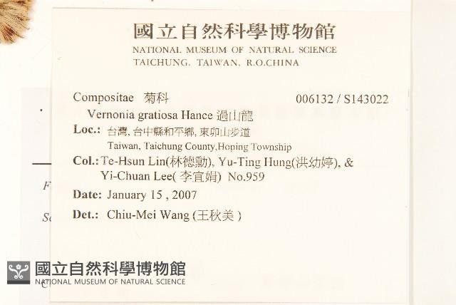 過山龍藏品圖，第2張