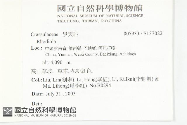 登錄號:S137022藏品圖，第2張