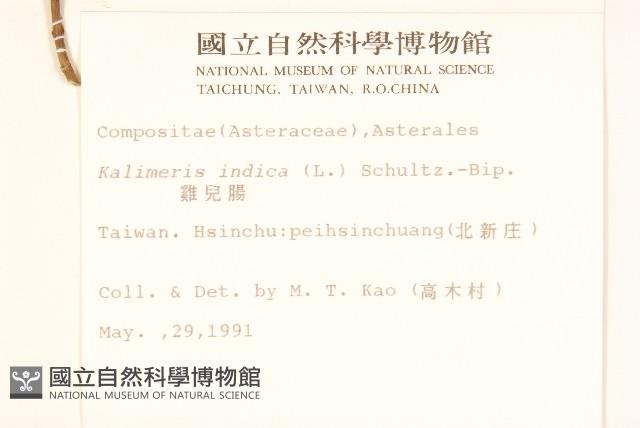 雞兒腸藏品圖，第2張