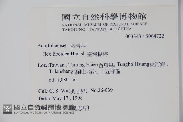 臺灣糊樗藏品圖，第2張