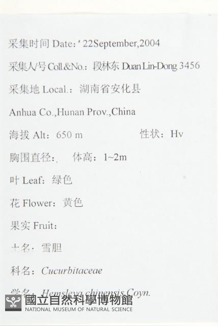 雪膽藏品圖，第2張