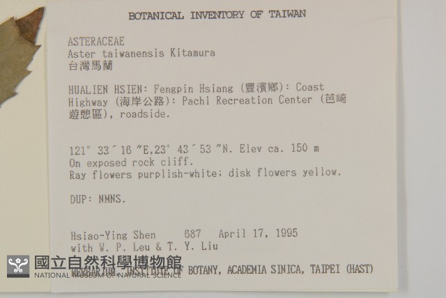 臺灣馬蘭藏品圖，第2張