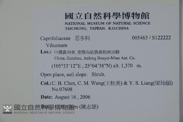 登錄號:S122222藏品圖，第2張