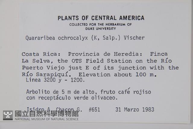 登錄號:S035222藏品圖，第2張