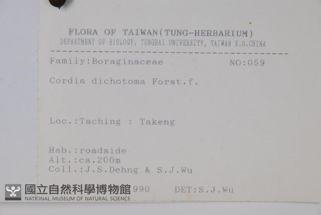 破布子藏品圖，第2張