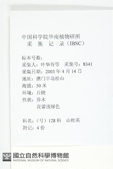 杜英、山杜英、蘭嶼杜英藏品圖，第2張