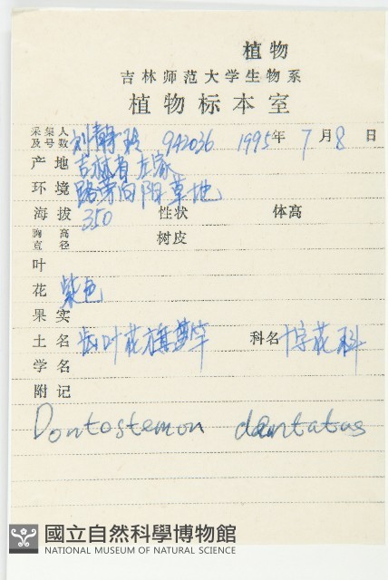 花旗竿藏品圖，第2張