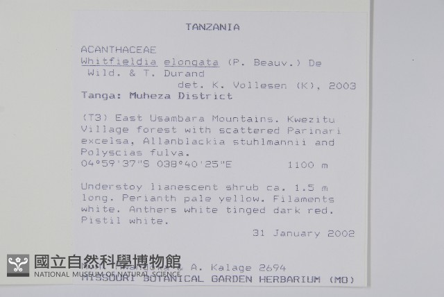 白燭蘆莉藏品圖，第2張