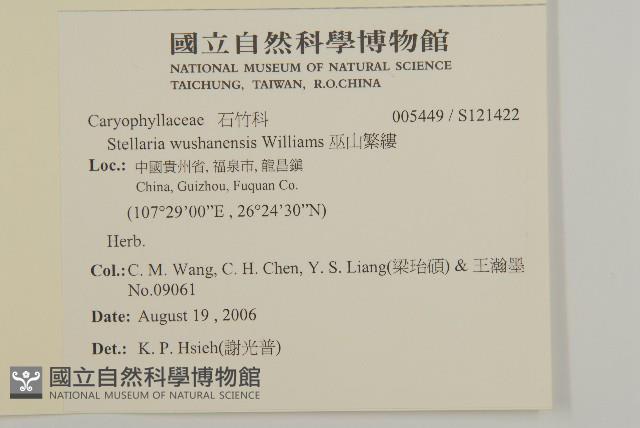 巫山繁縷藏品圖，第2張