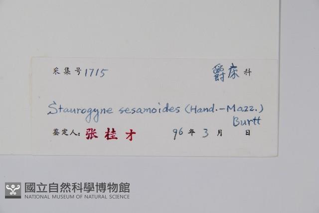 登錄號:S045422藏品圖，第2張