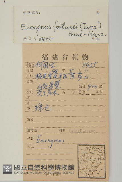 扶芳藤藏品圖，第2張
