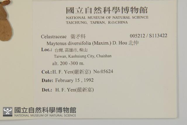 北仲, 刺裸實藏品圖，第2張