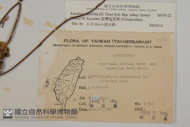 臺灣鬼督郵藏品圖，第2張