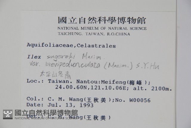 太平山冬青藏品圖，第2張
