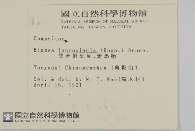 走馬胎藏品圖，第2張