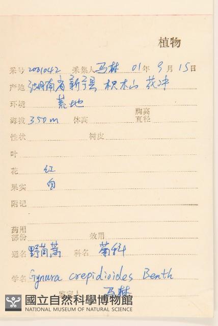 野茼蒿藏品圖，第2張