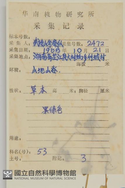 繁縷藏品圖，第2張