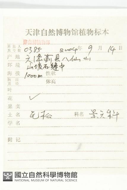 瓦松藏品圖，第2張