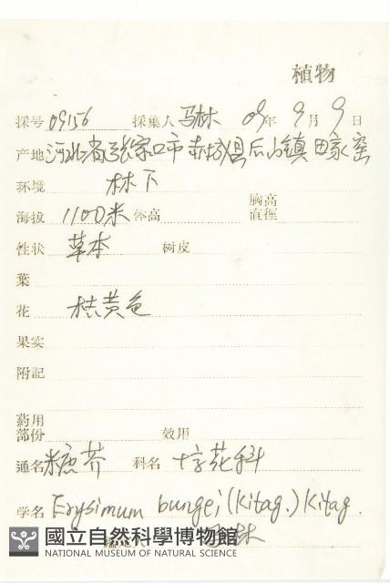 糖芥藏品圖，第2張