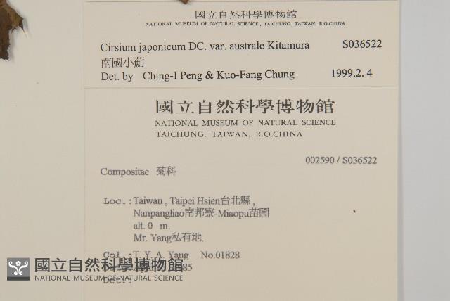 南國小薊藏品圖，第2張