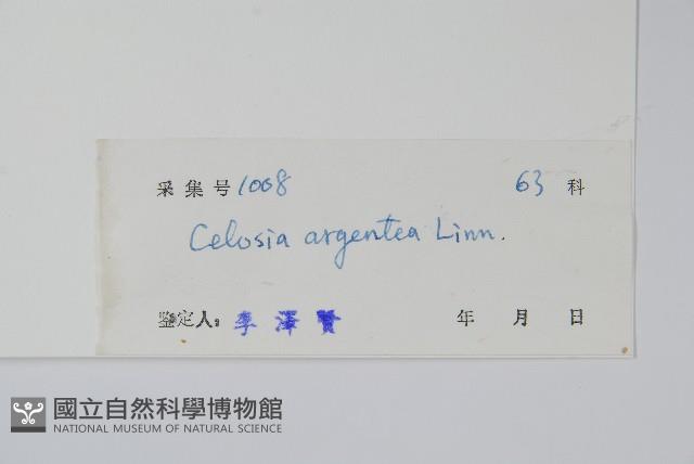 青葙藏品圖，第2張