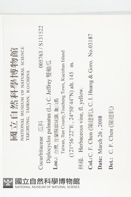 雙輪瓜藏品圖，第2張