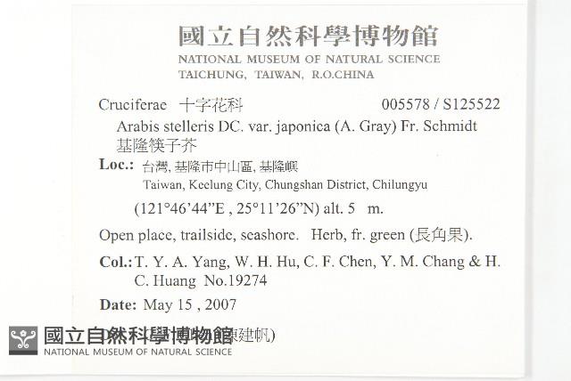 基隆筷子芥藏品圖，第2張