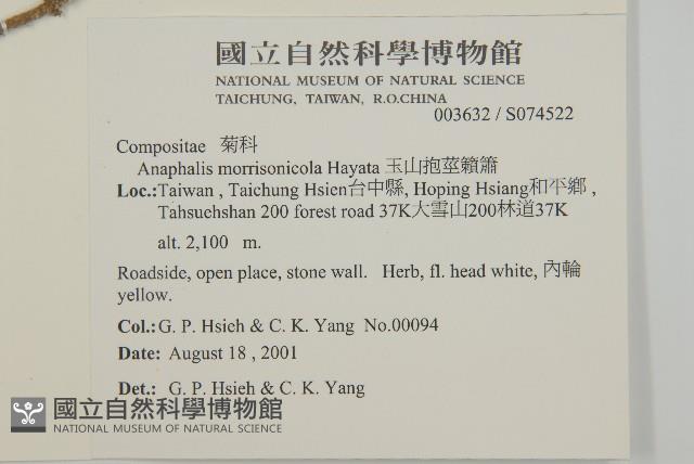 玉山抱莖籟簫藏品圖，第2張