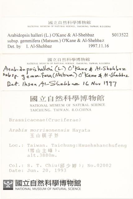 登錄號:S013522藏品圖，第2張