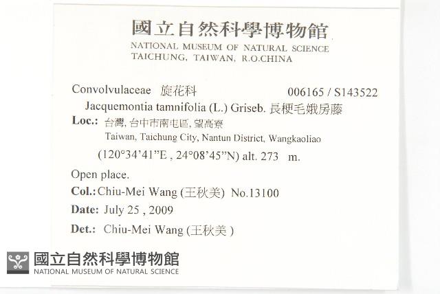 長梗毛娥房藤藏品圖，第2張