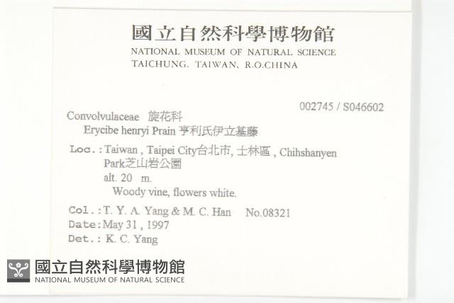 Henry's erycibe Collection Image, Figure 2, Total 2 Figures