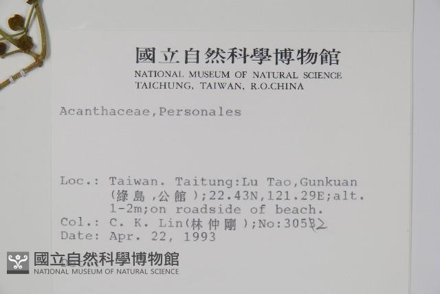 登錄號:S010602藏品圖，第2張