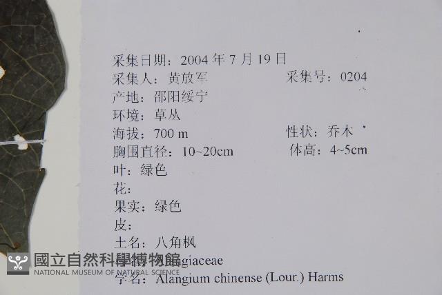 八角楓藏品圖，第2張