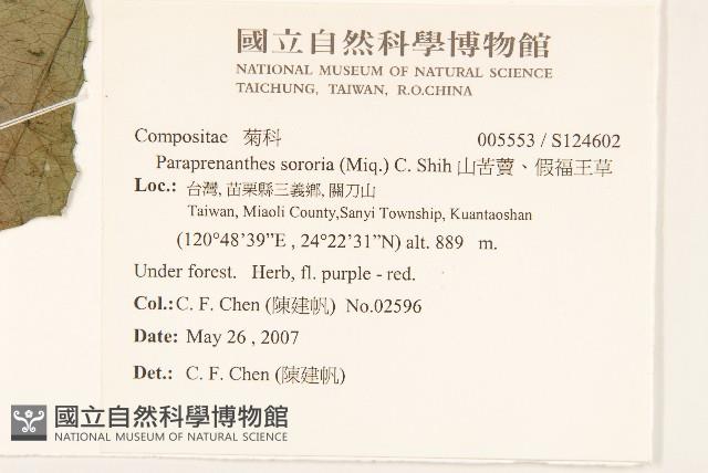 山苦藚、假福王草藏品圖，第2張