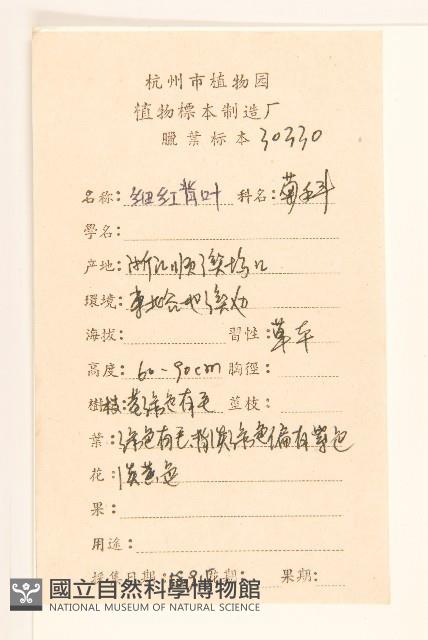 鵝仔草藏品圖，第2張