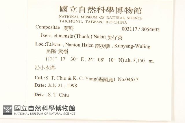 兔仔菜藏品圖，第2張