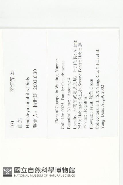 曲蓮藏品圖，第2張