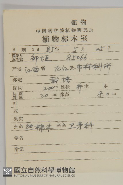 白杜藏品圖，第2張