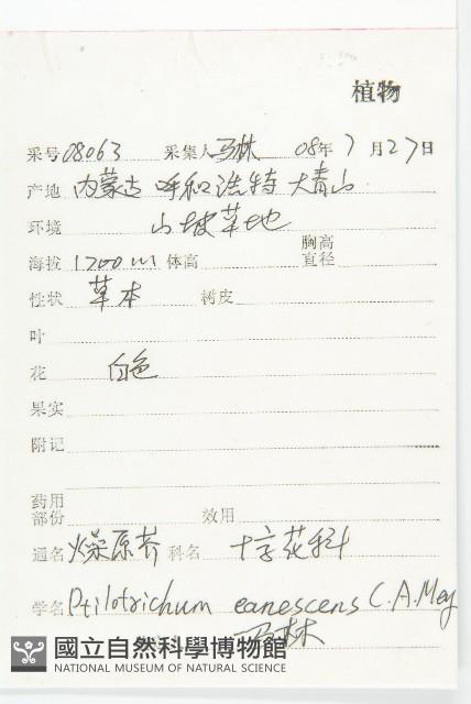 燥原薺藏品圖，第2張