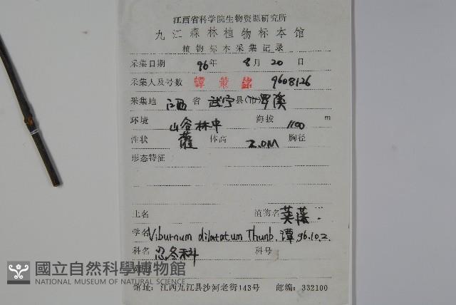 莢迷藏品圖，第2張