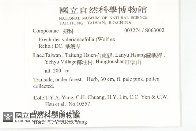 飛機草藏品圖，第5張