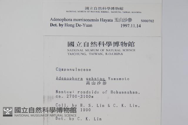 玉山沙參藏品圖，第2張